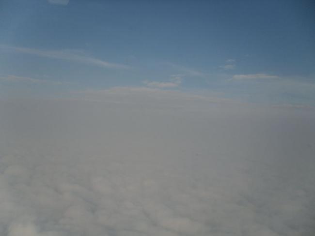 SAM_1154_resize.JPG